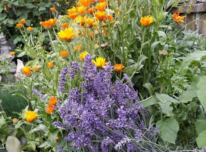 Seepension Hemetsberger Gasthuis